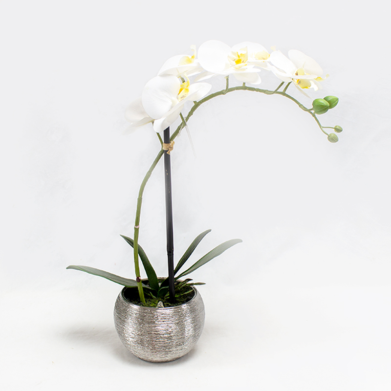 Phalaenopsis 40cm Branca Artificial