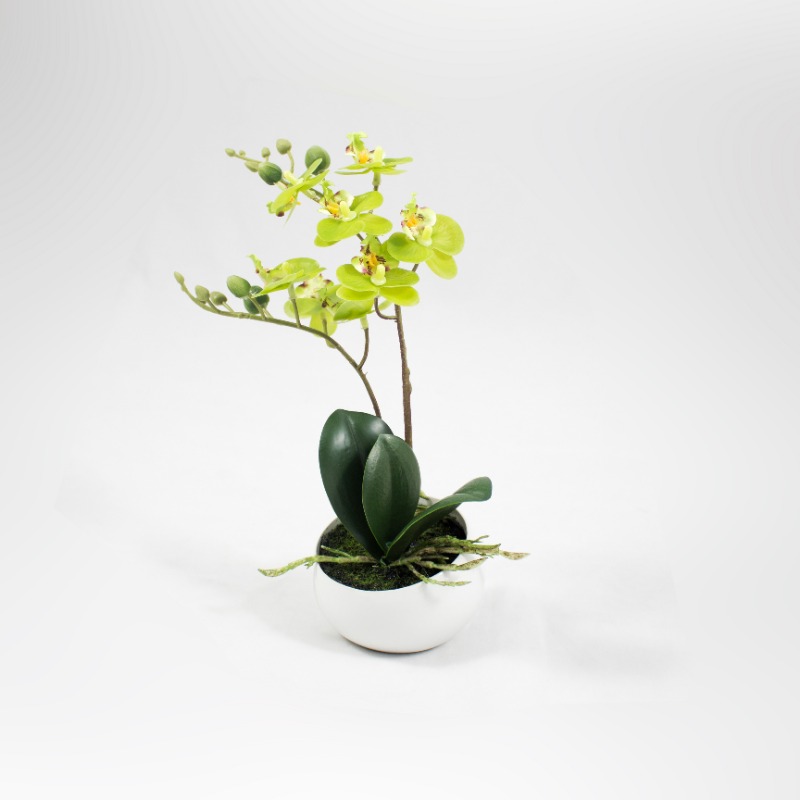 Phalaenopsis 25cm Verde Artificial