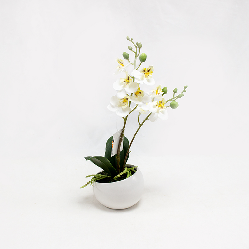 Phalaenopsis 25cm Branca Artificial