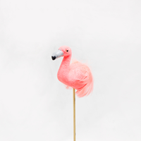 Pick Flamingo 8cm ( 6 Un.)