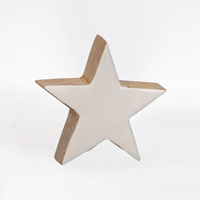 Estrela de Madeira 10cm Branca