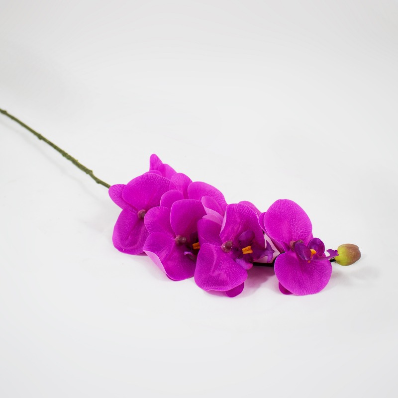 Phalaenopsis artificial com Toque Natural