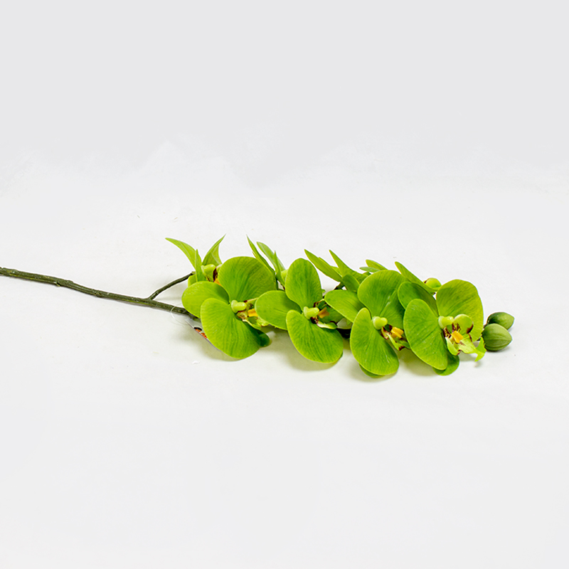 Phalaenopsis 80cm Verde Artificial