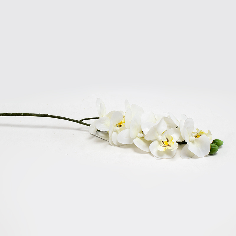 Phalaenopsis 80cm Creme Artificial