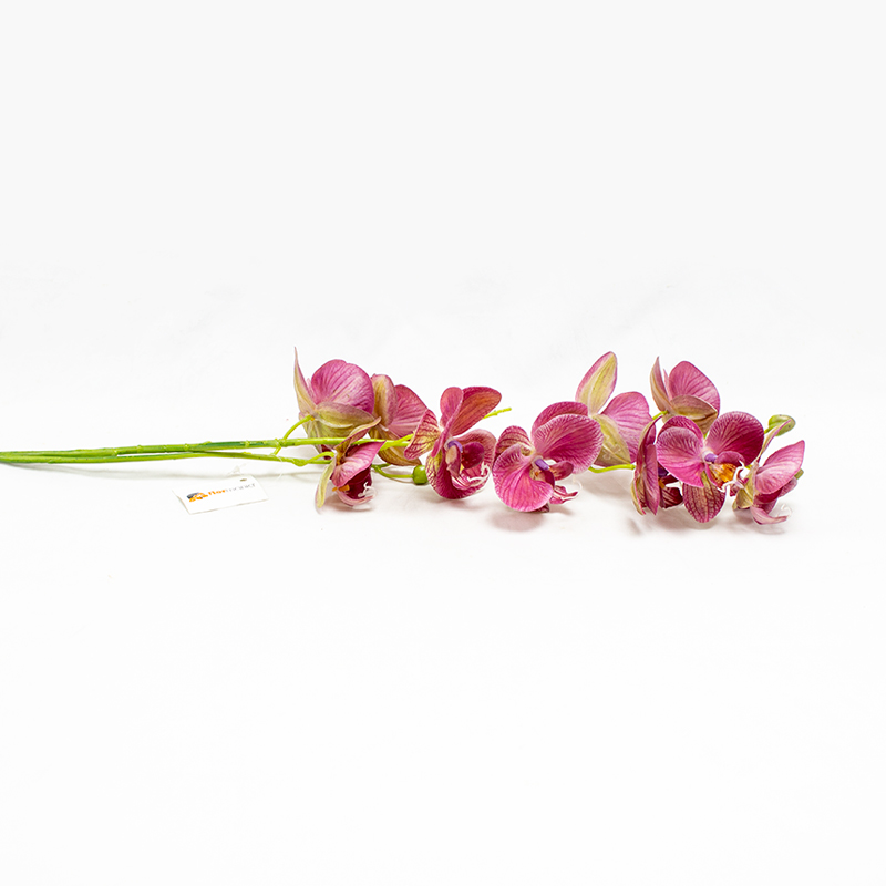 Phalaenopsis 80cm Bicolor Rosa Artificial
