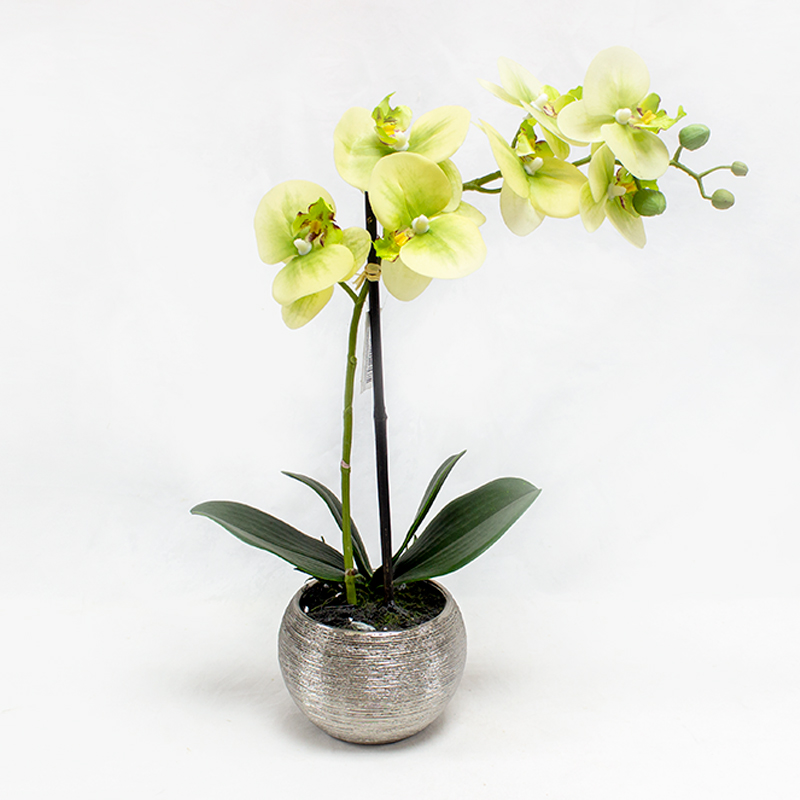 Phalaenopsis 40cm Verde Artificial