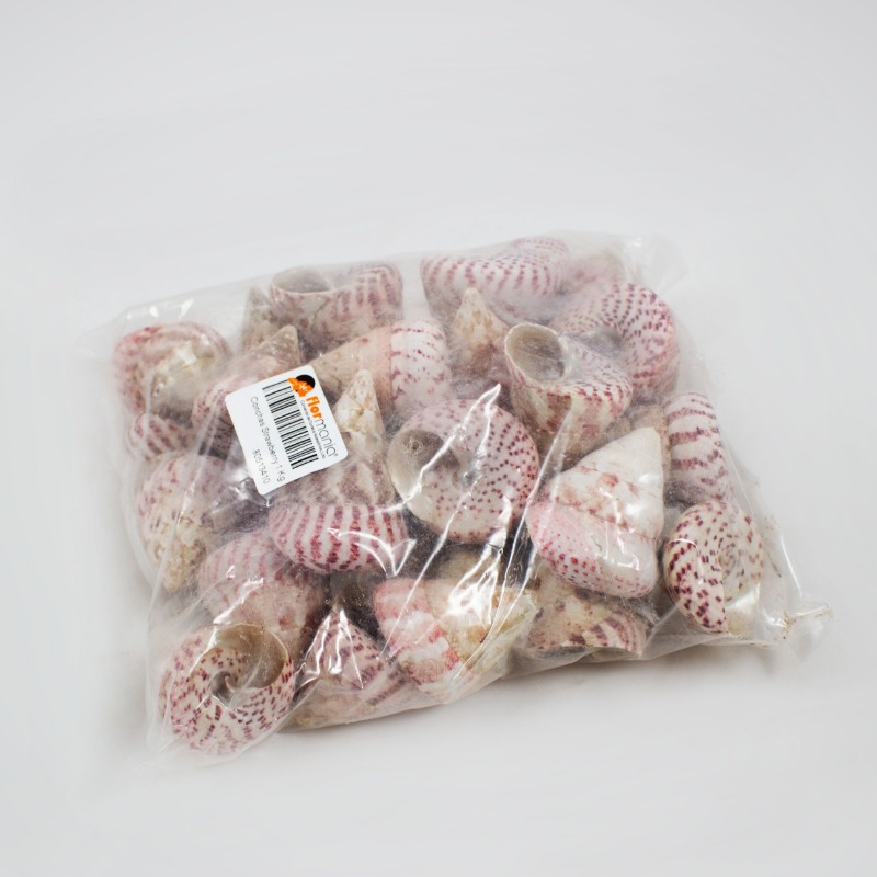 Conchas Strawberry 1 Kg