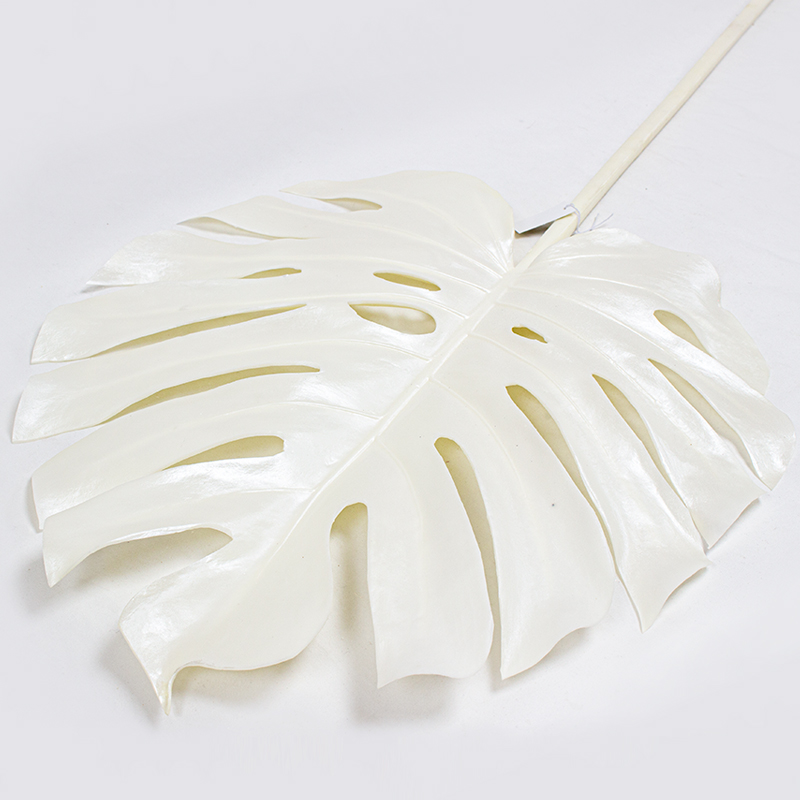 Folha de Mostera Branca 106cm