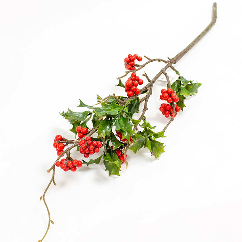 Haste de Azevinho 60cm