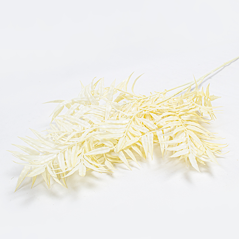 Ramo Jacaranda - Creme 75cm