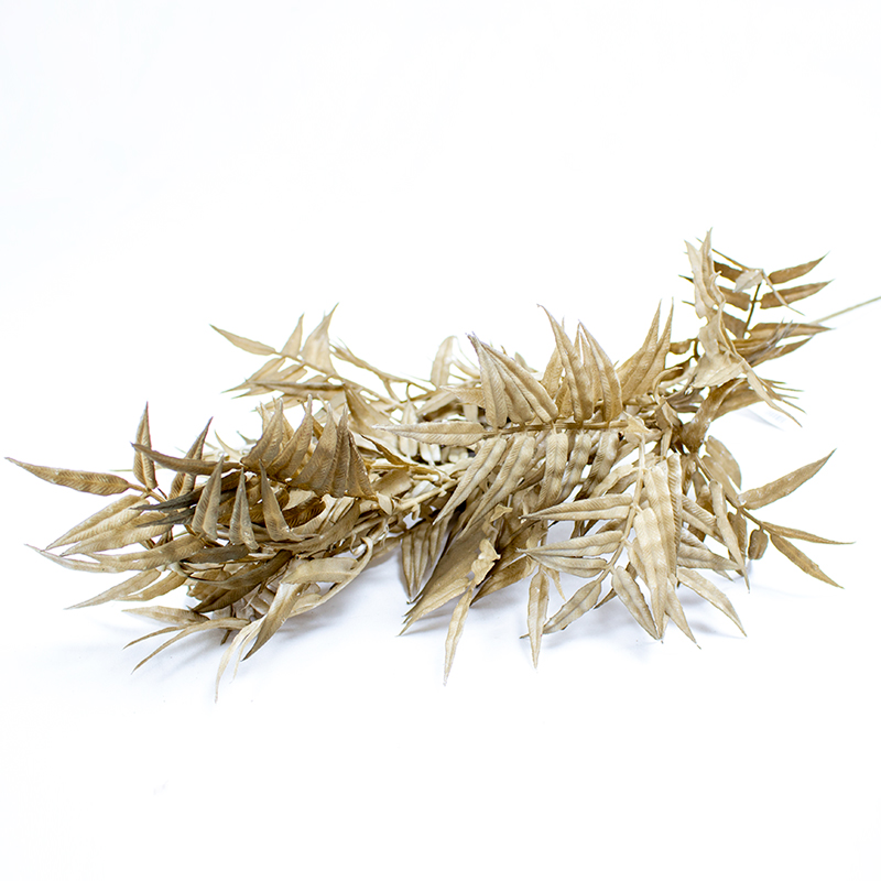 Ramo Jacaranda - Castanho 75cm