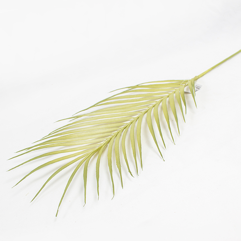 Areca - Verde 80cm