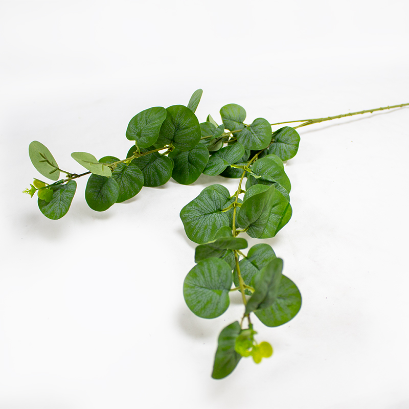 Eucalipto Populos Haste Art.75cm Verde (Un)