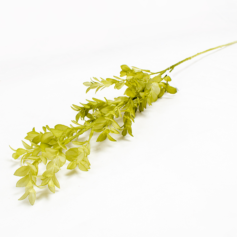 Eucalipto Baby Blue Artificial - Verde 76cm