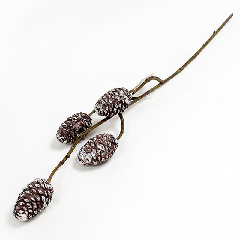 Haste de Pinhas 56cm