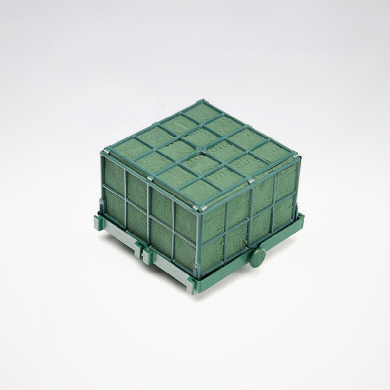 Auto Corso Oasis  (X1)