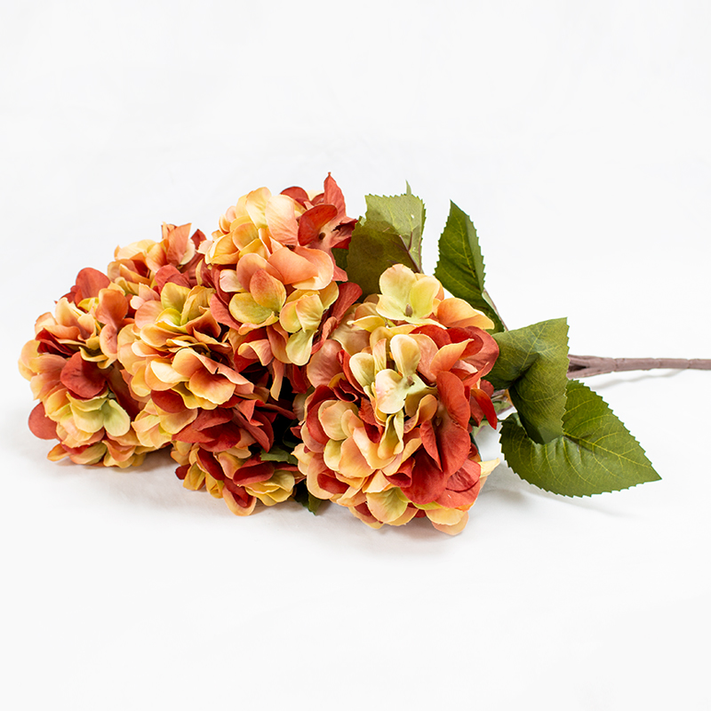 Molho de Hortênsias - Siena 54cm