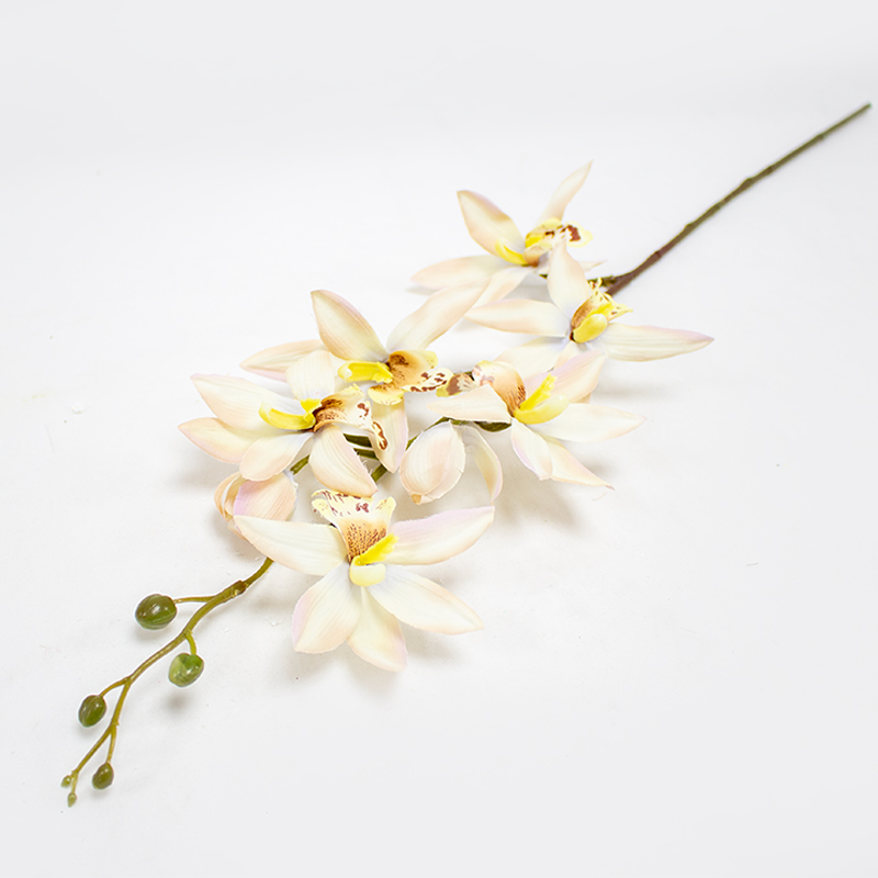 Cambria Art. 69cm - Creme (Un)