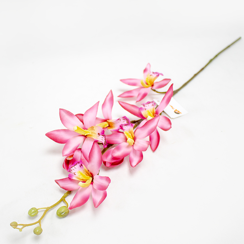 Cambria Art. 69cm - Fuchia (Un)