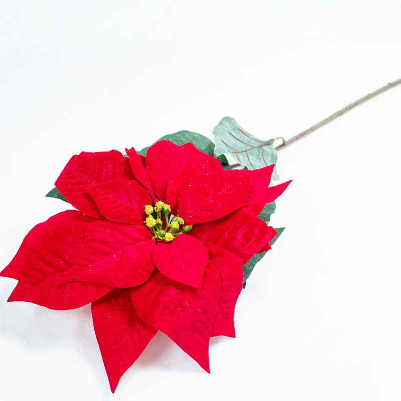 Poinsetia Veludo Vermelha 85cm