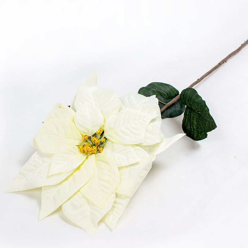 Poinsetia Veludo Branca 85cm