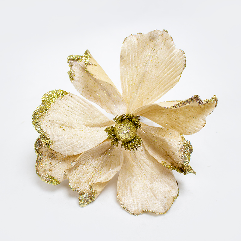 Poinsetia Creme 20cm  (Un)