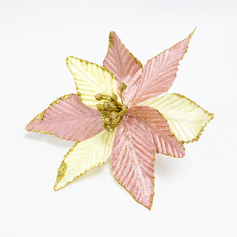 Poinsetia Rosa/Champanhe 20cm (Un)