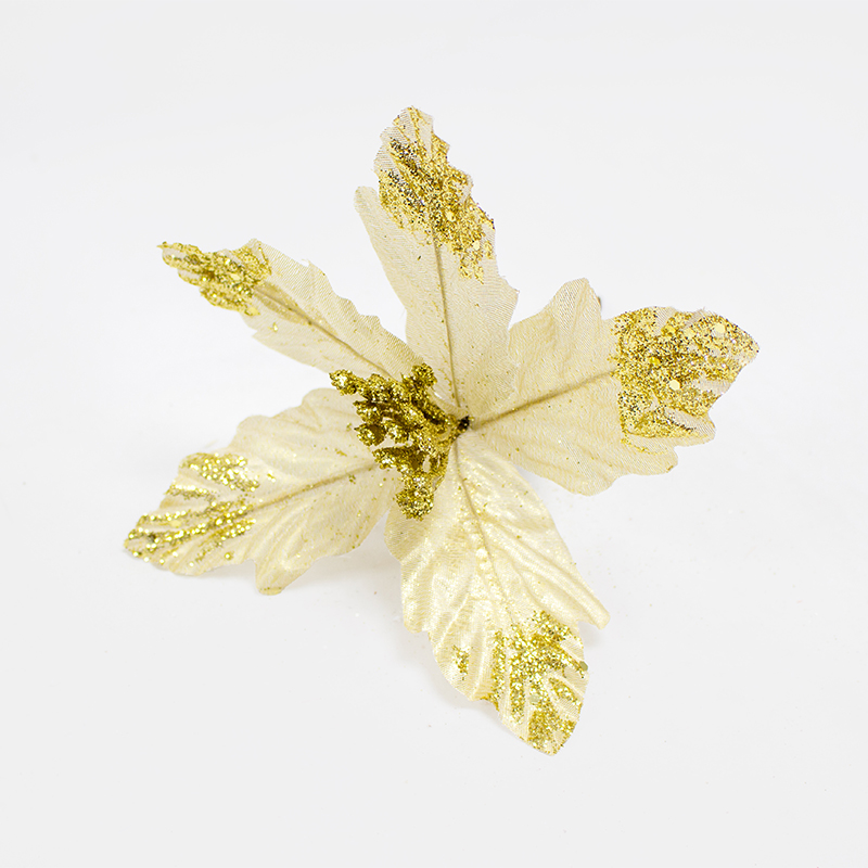 Poinsetia Champanhe  25cm (Un)