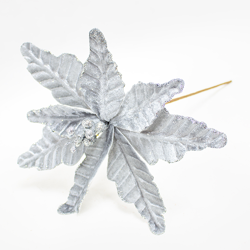 Poinsetia Prata  30cm (Un)