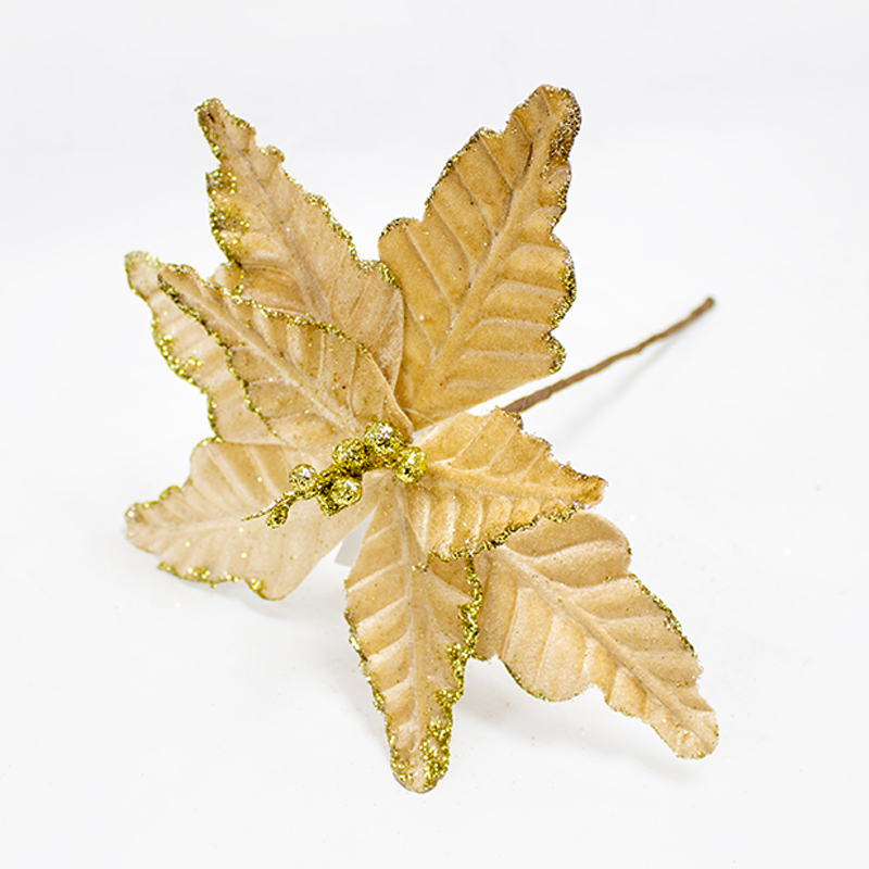 Poinsetia Creme  30cm (Un)