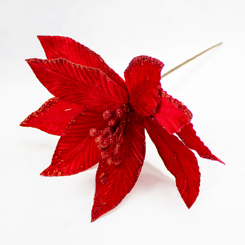 Poinsetia Vermelha  50cm (Un)