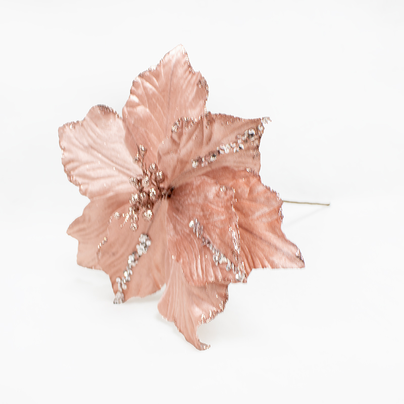 Poinsetia 50cm Rosa (Un)