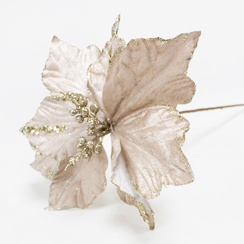 Poinsetia 50cm Champanhe (Un)