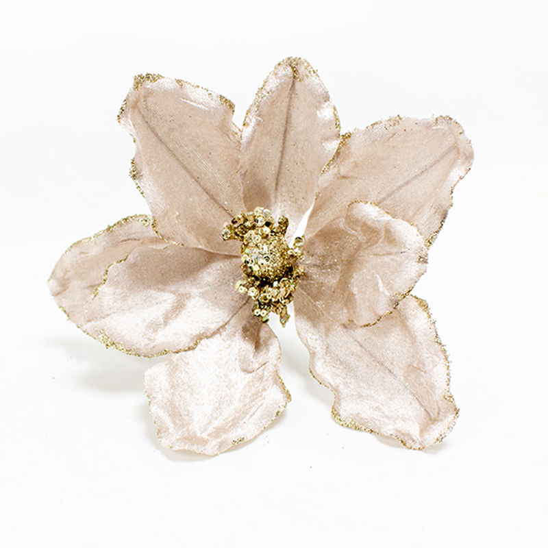 Poinsetia 23cm Champanhe (Un)