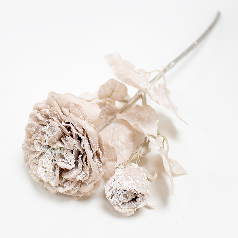 Rosa C/Neve - Rosa Velho (Un)