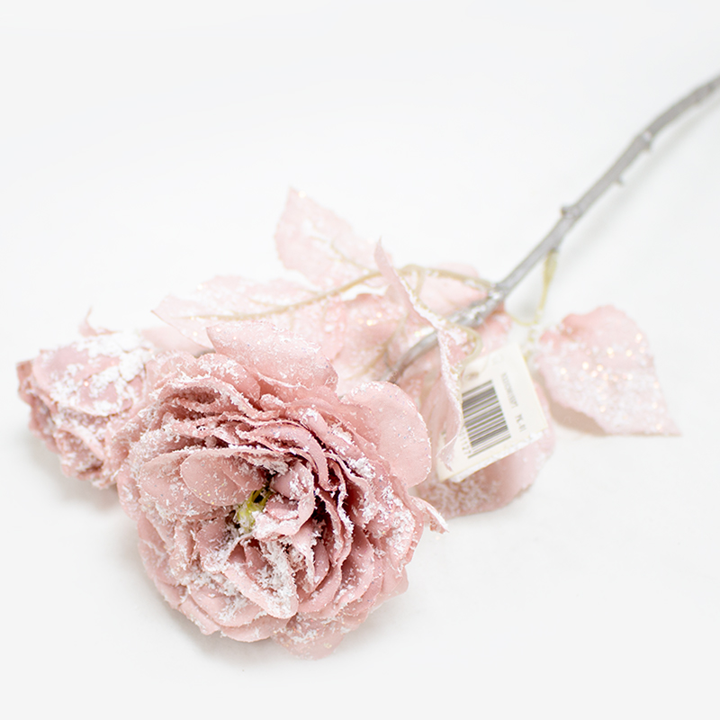 Rosa C/Neve - Rosa (Un)