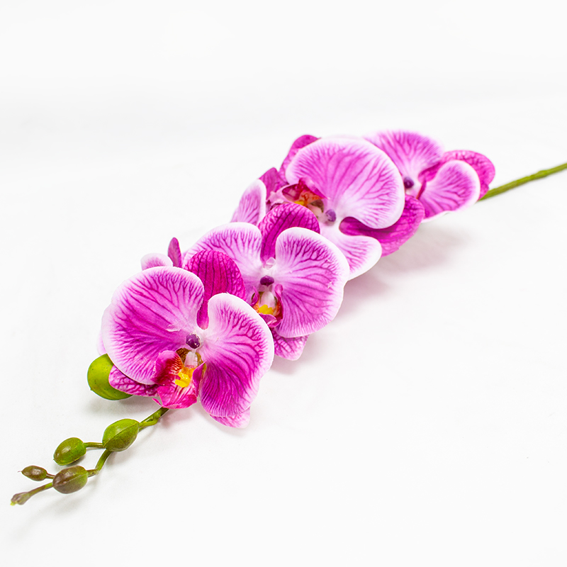 Phalaenopsis Art.  84cm - Fuchsia (Un)