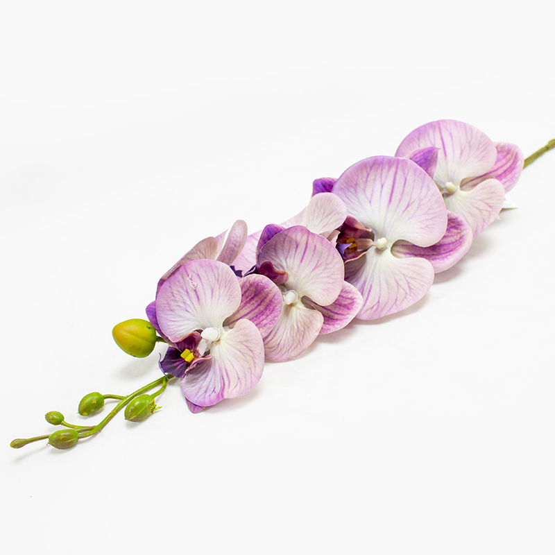 Phalaenopsis Art.  84cm - Lilas (Un)