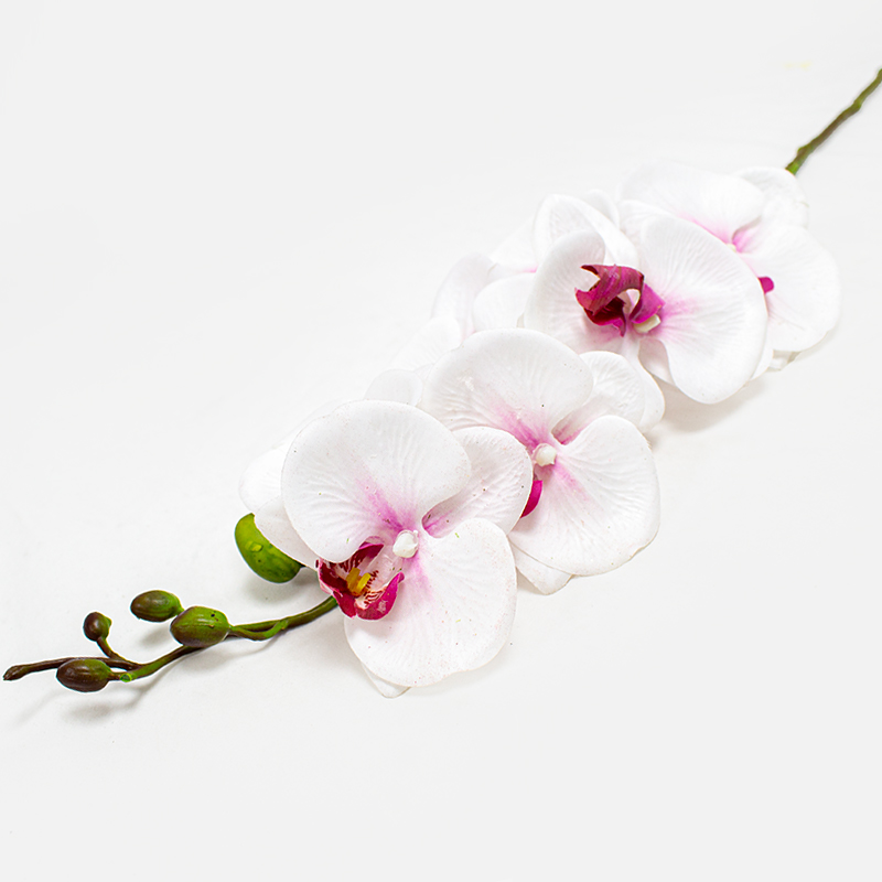 Phalaenopsis Art.  84cm - Branco/Rosa (Un)