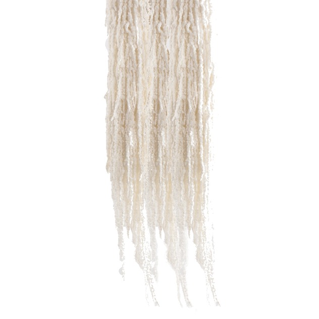 Amaranthus Preservados Branco
