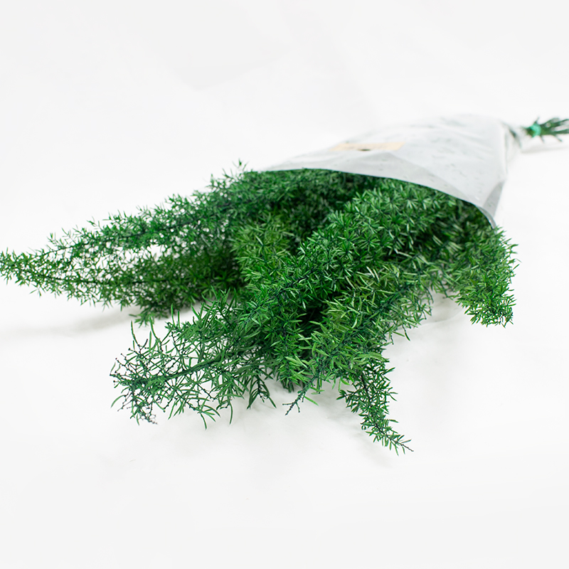 Espargo Pres. Foxteail 80cm - 100gr