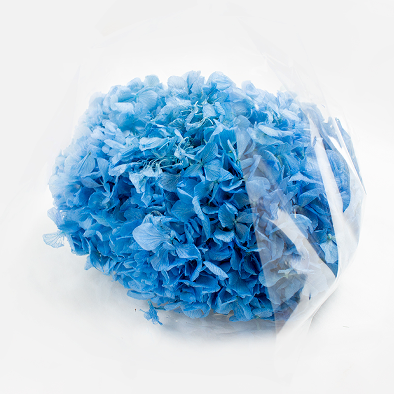 Hortense preservada Azul