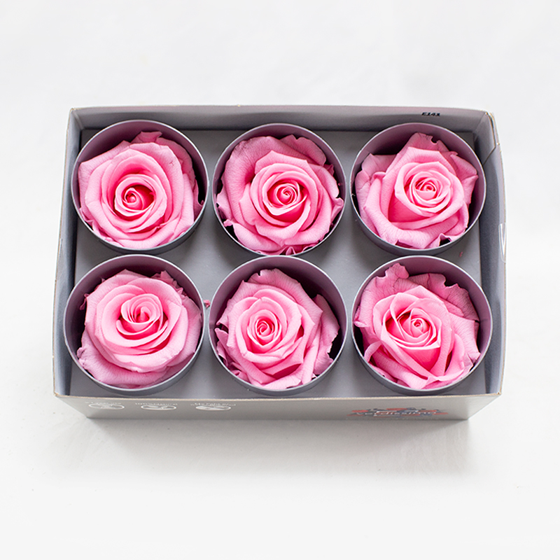 Rosa Preservada 6 Un. Rosa