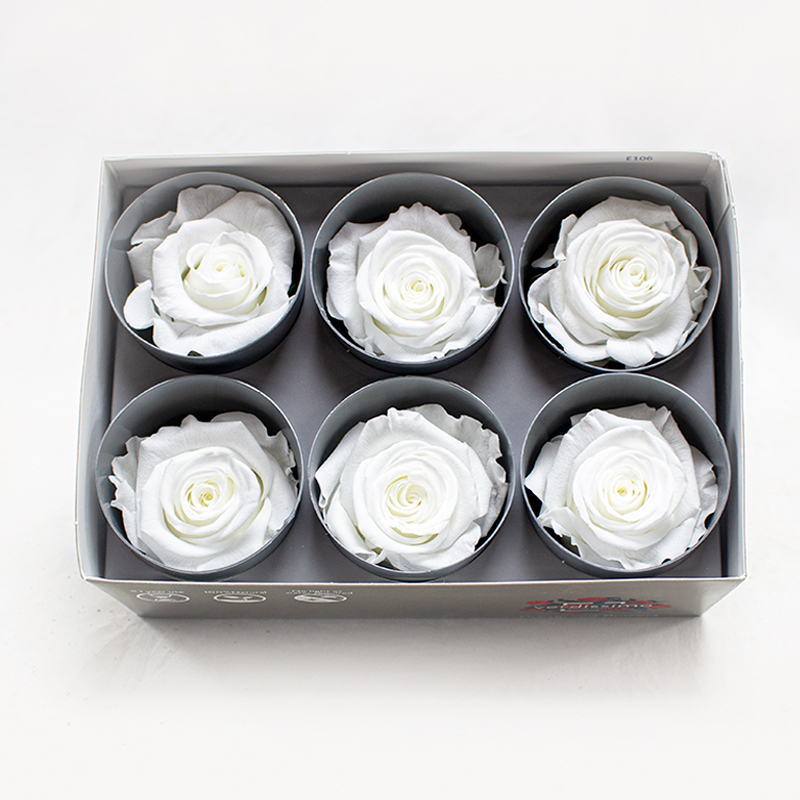 Rosa Preservada 6 Un. Branca