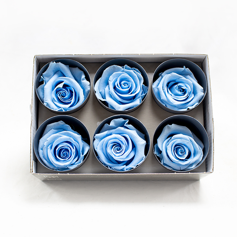 Rosa Preservada 6 Un. Azul Céu