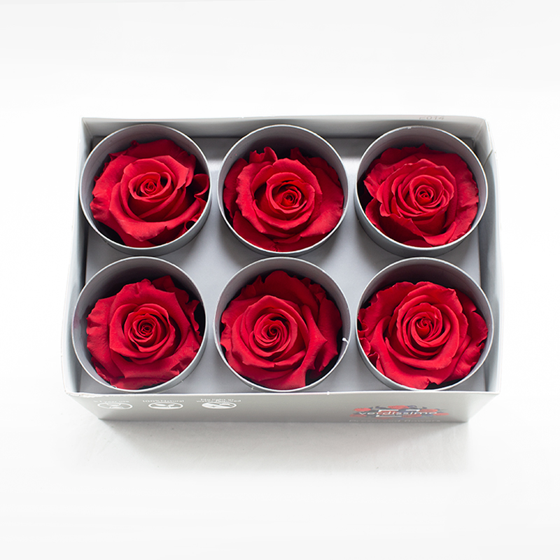 Rosa Preservada Vermelha  x6