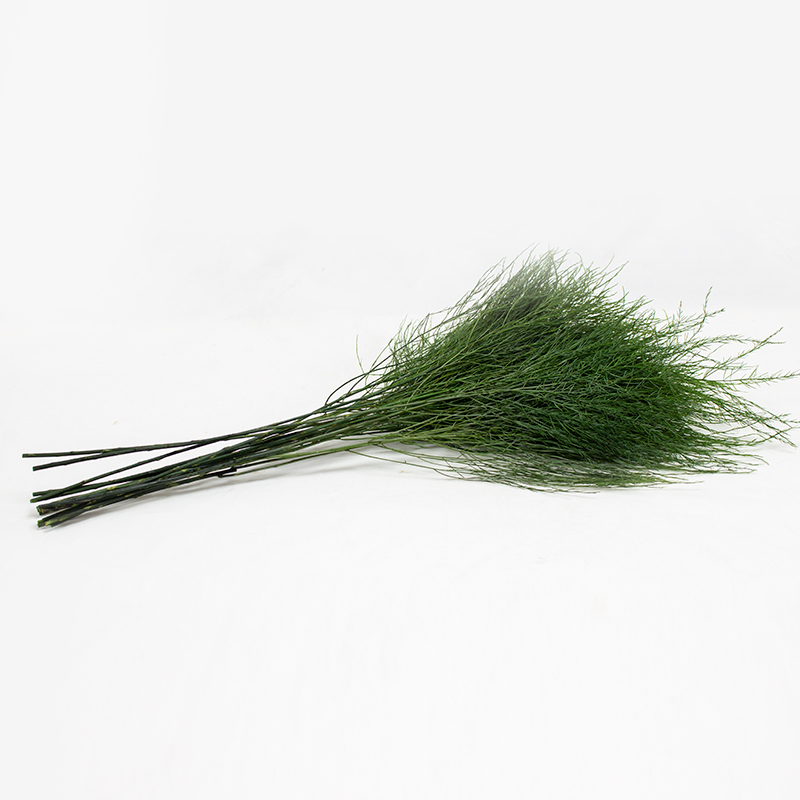 Tiki 40/60 Preservado