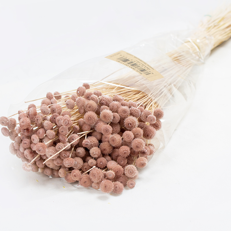 Amarelino 45cm 120gr Rosa Pastel