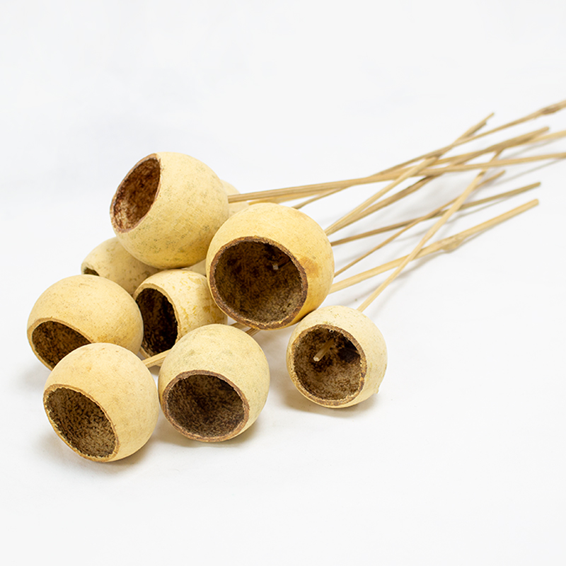 Bell Cup 40cm / 10 pcs Natural