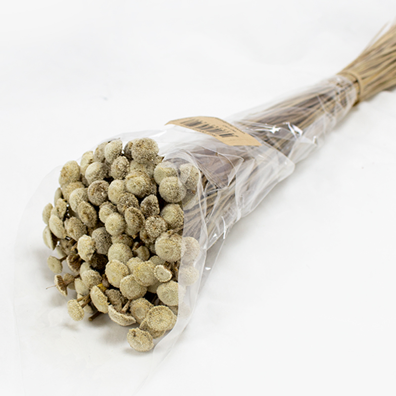 Botão 45cm / 100 gr Natural